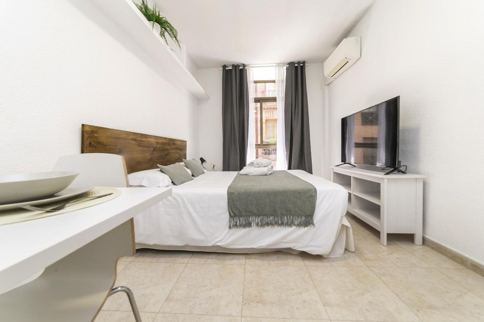 Apartamento Classy Iv - Ferga Madrid