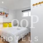 LooP America Estudio