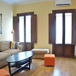 Labrador 14