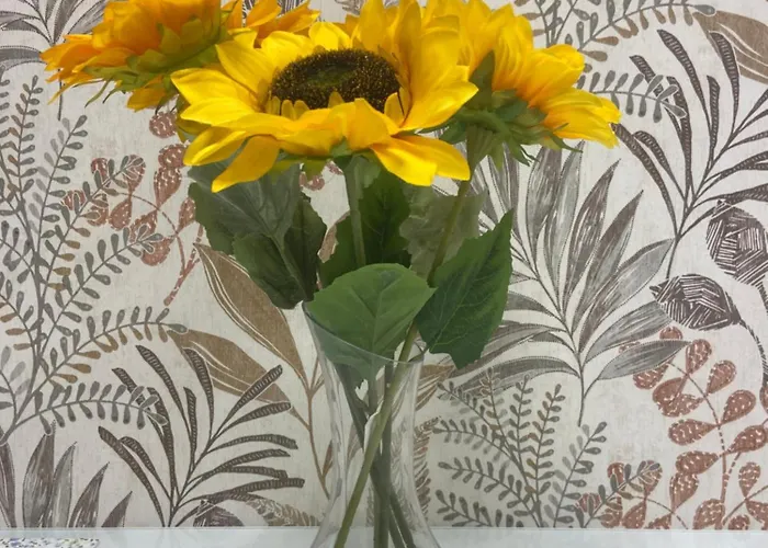 Girasol