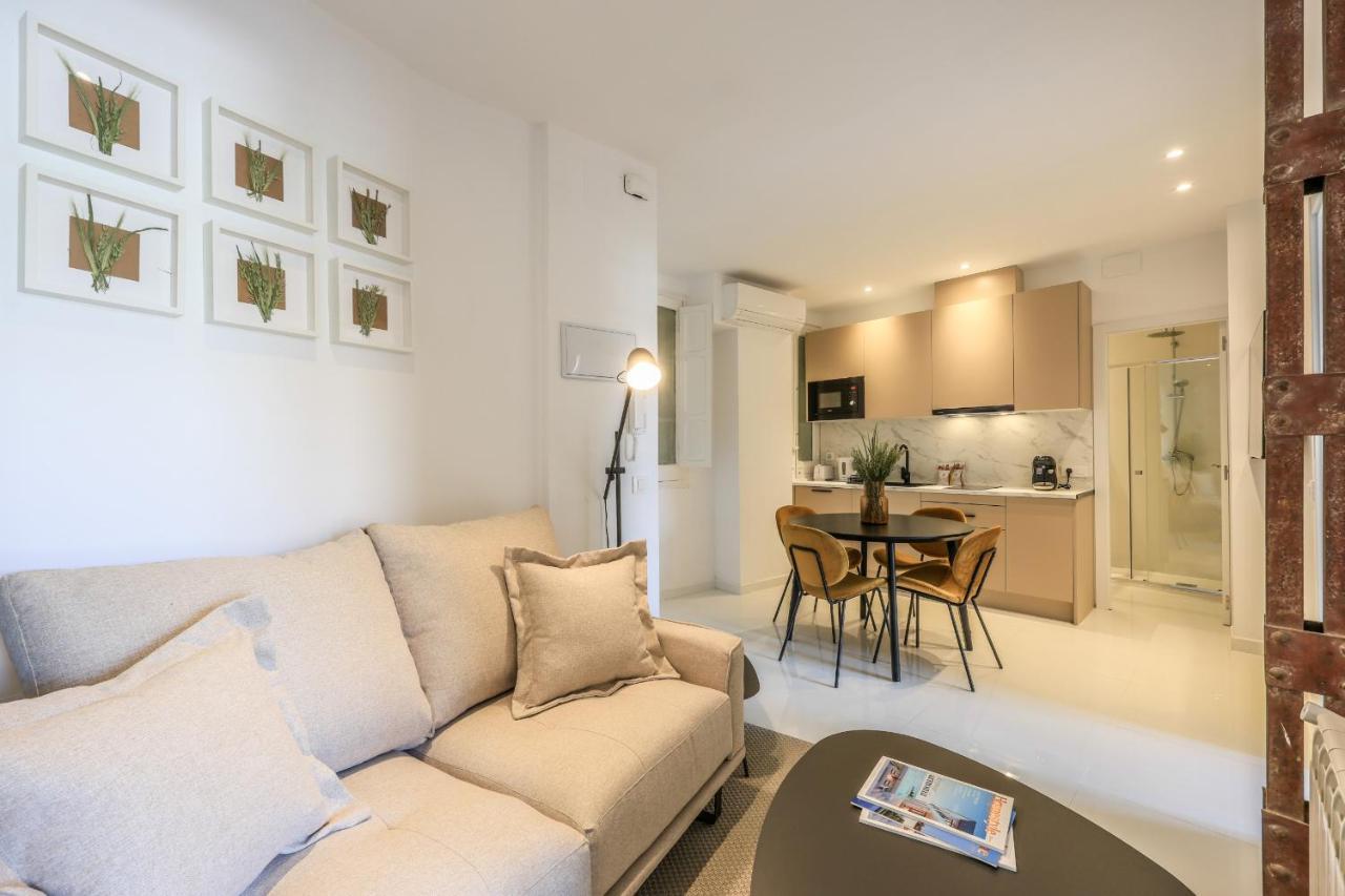 Apartamento Embajadores Xviii *