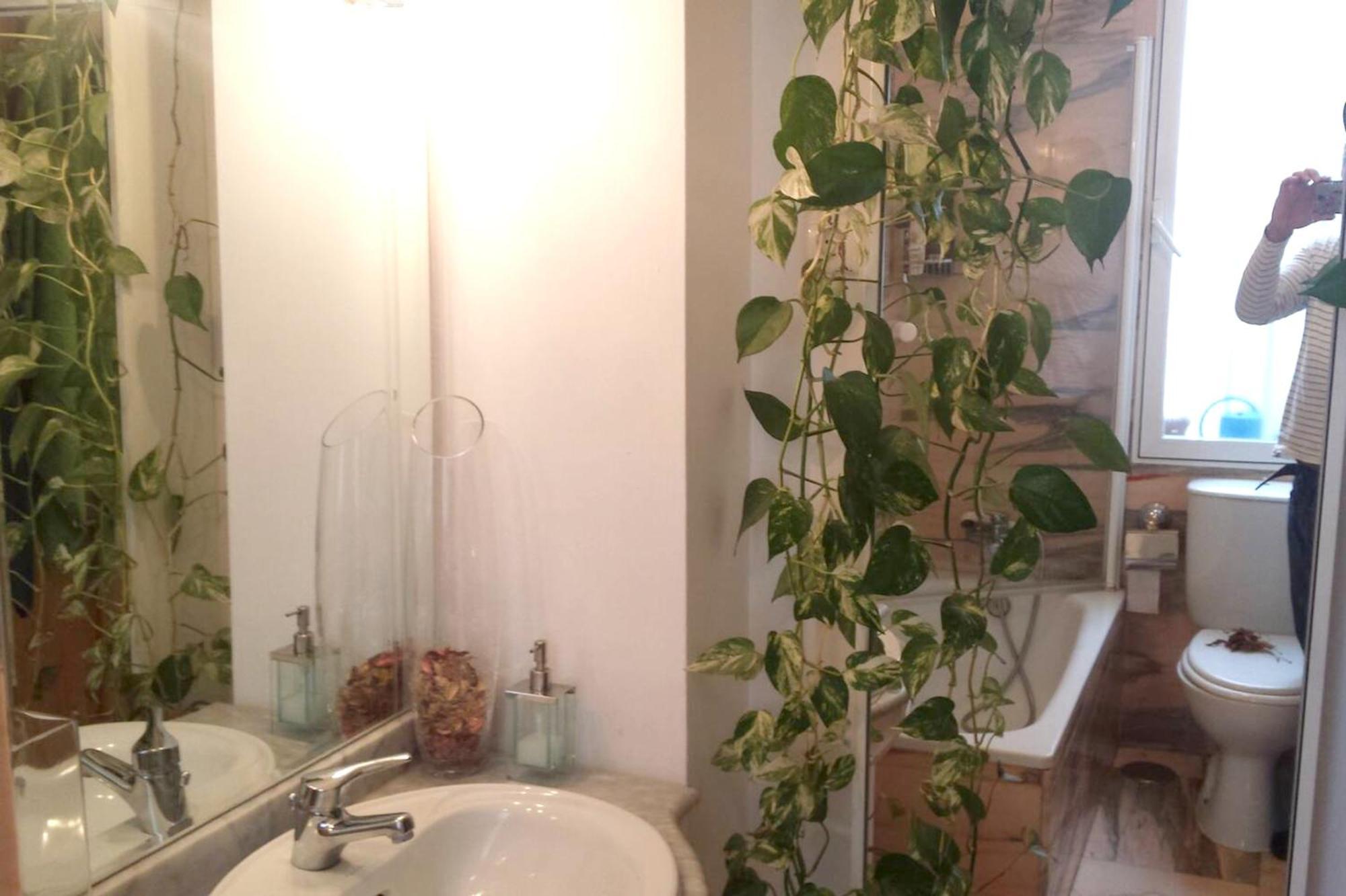 Charming 50m² +ac Apartamento Madrid