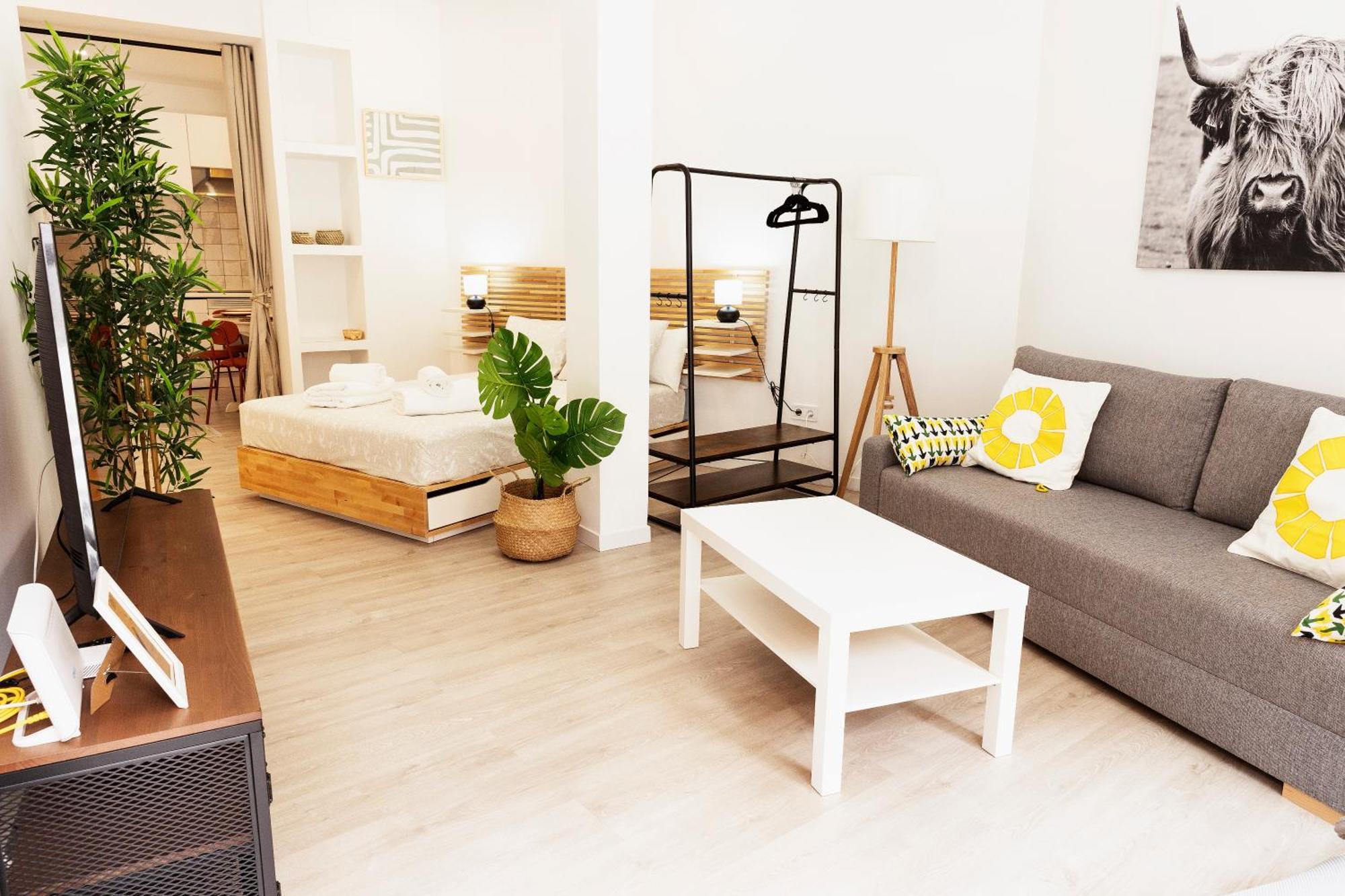Apartamento Bravo Murillo *