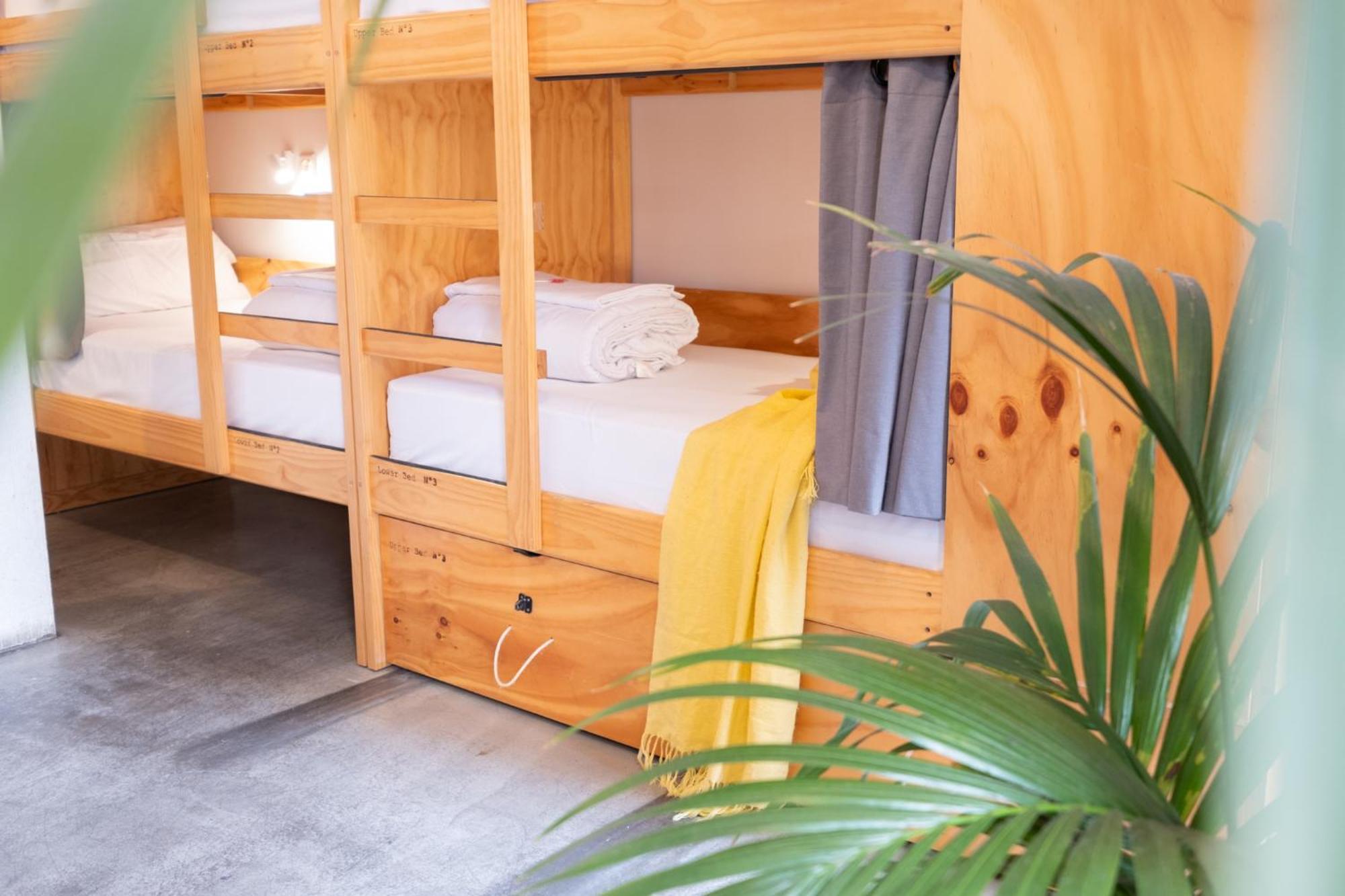 The Hostal