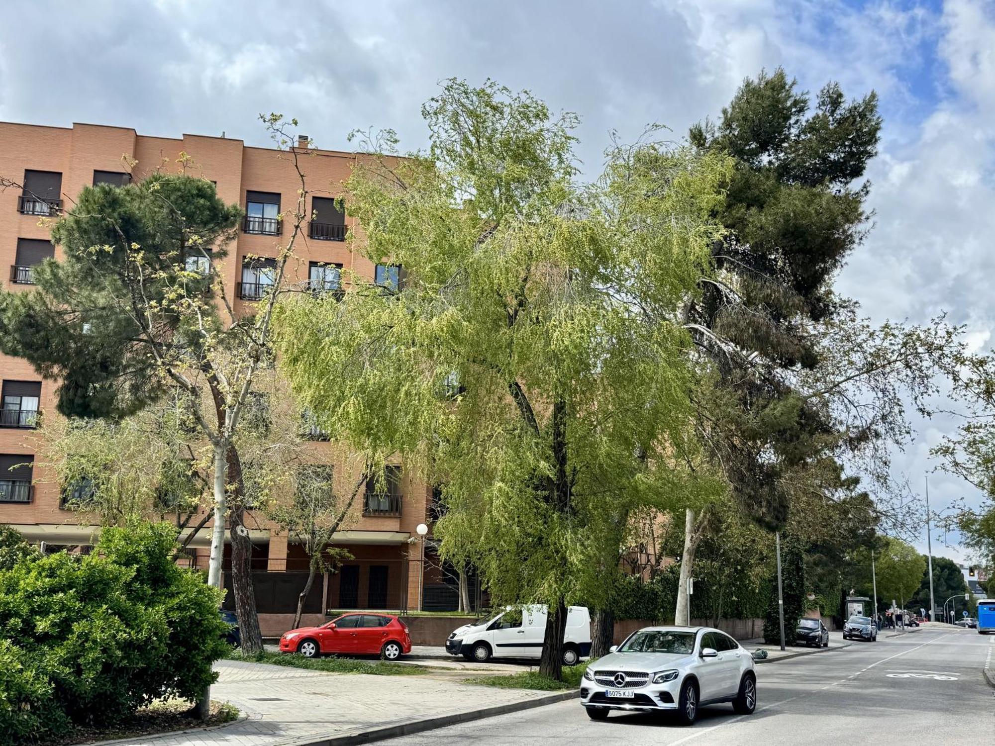 Airport Plenilunio Beige Apartamento *