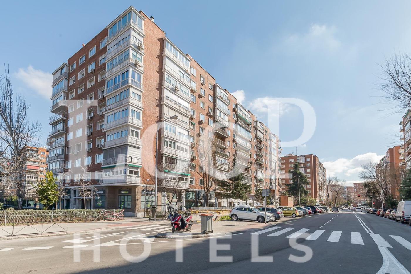 LooP America Estudio Madrid