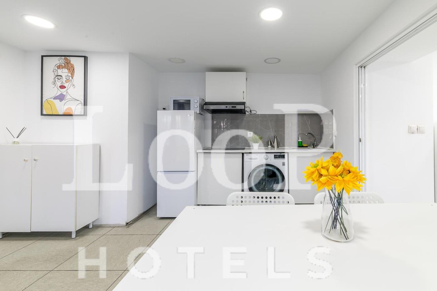 LooP America Estudio