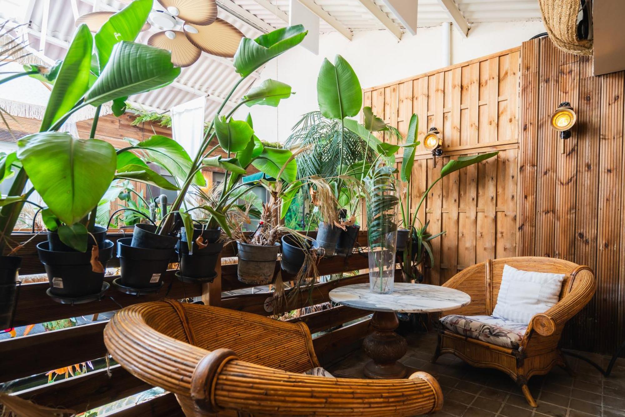 Hotel Life Gran Via - Tropical Garden